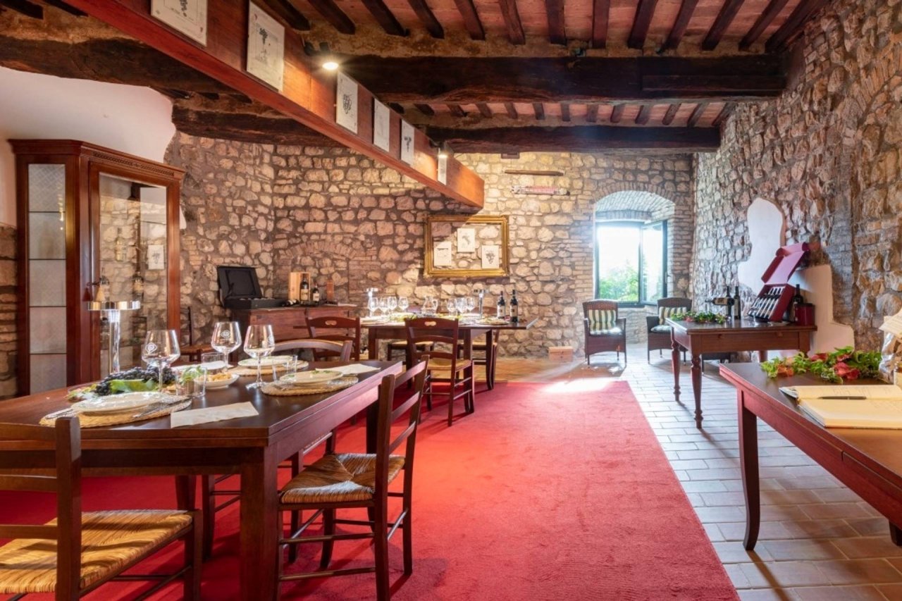 Visit and tasting at Castello di Camigliano