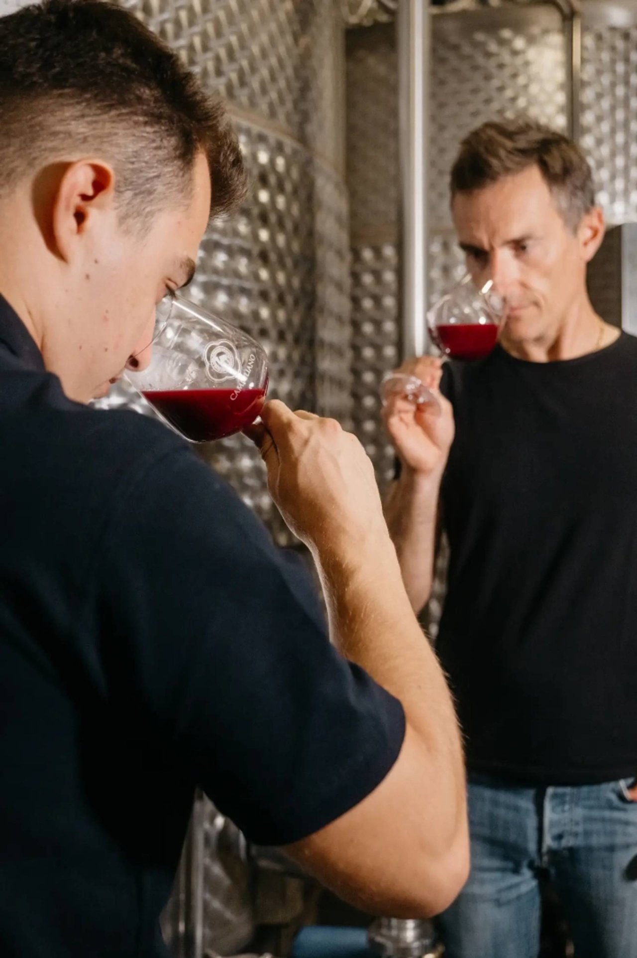 Tour with the Winemaker at Castello di Camigliano