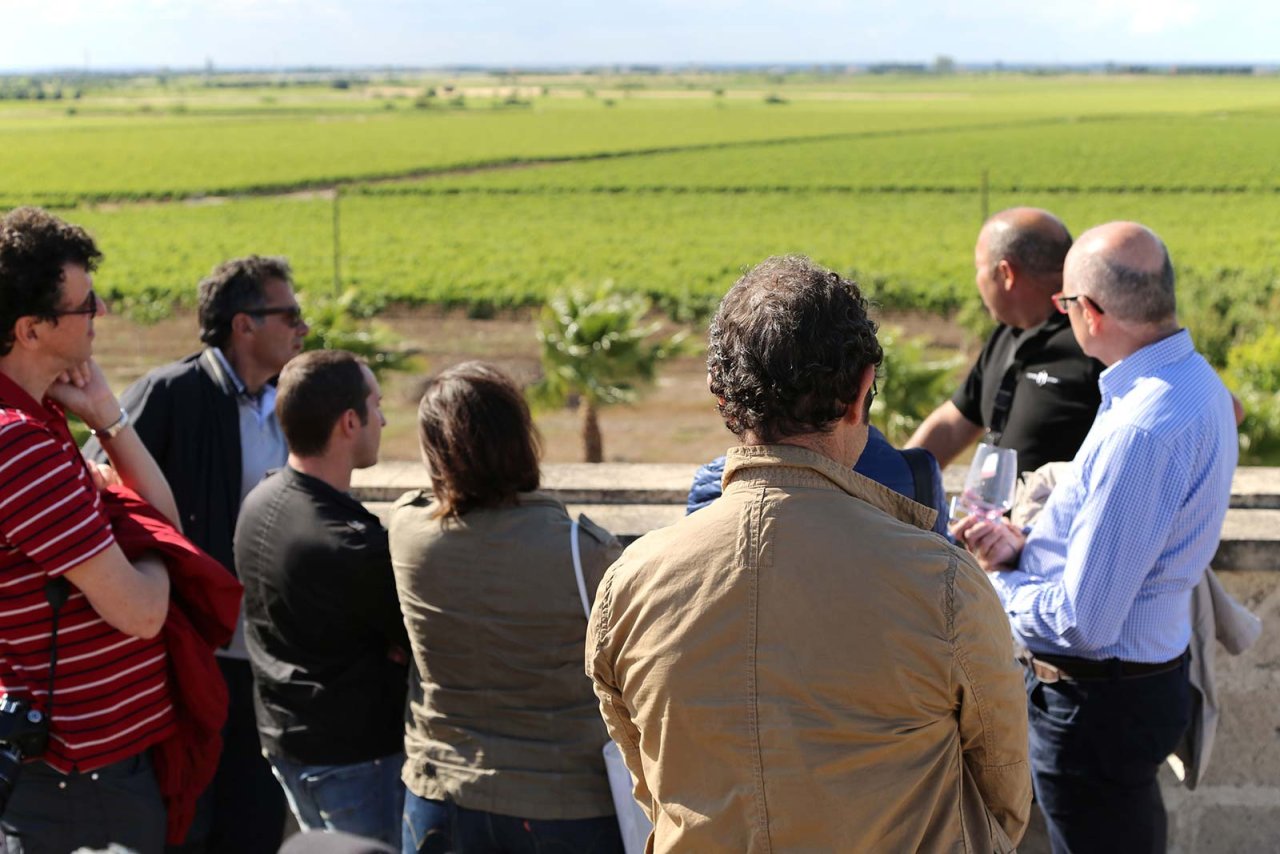 Piluna wine tour at Castello Monaci