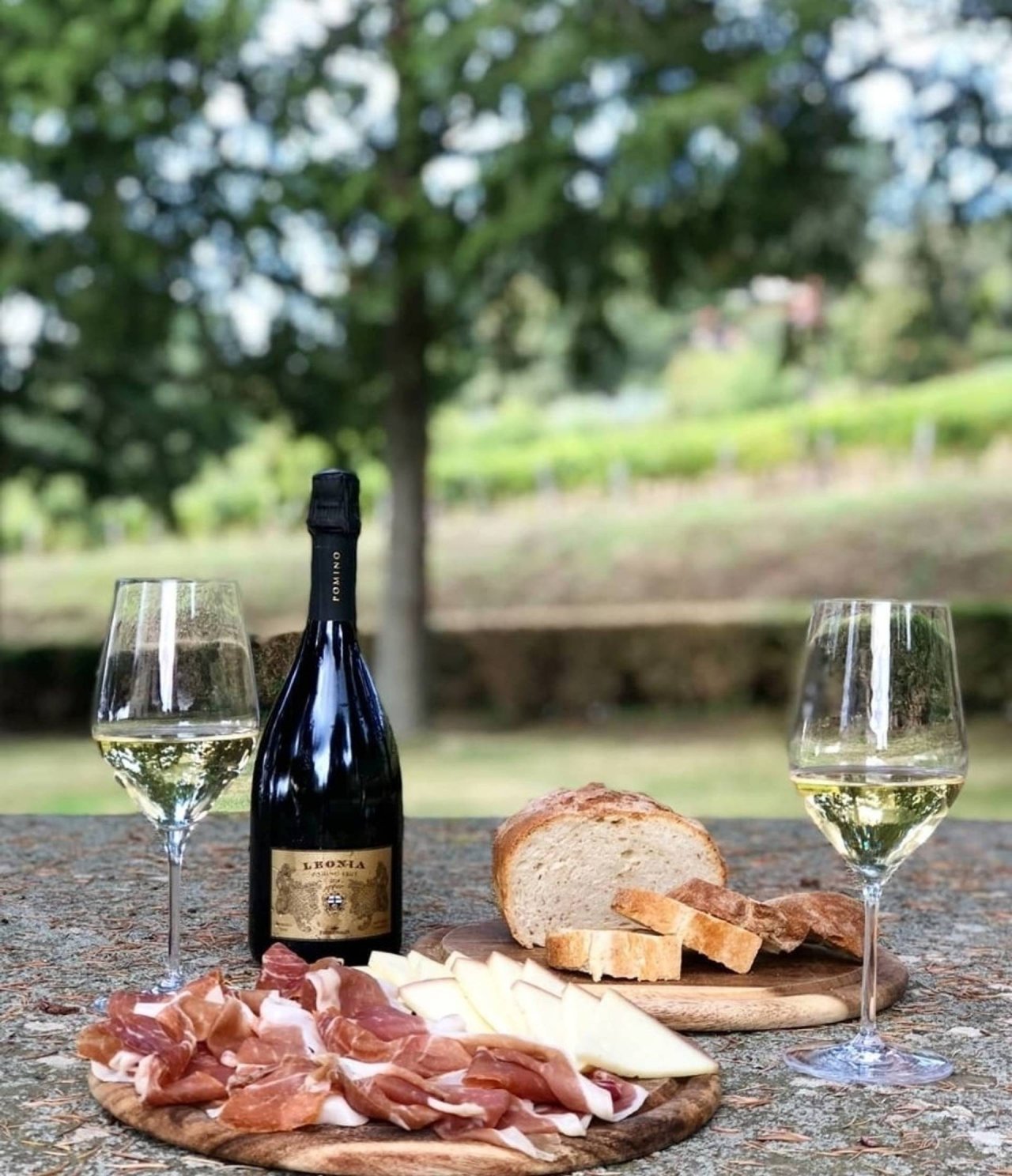 Discovering the Pomino region at Castello Pomino - Marchesi Frescobaldi