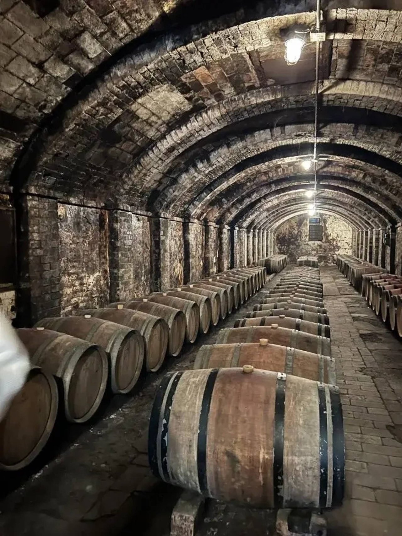 Wine Tasting 2 at Castello Sonnino