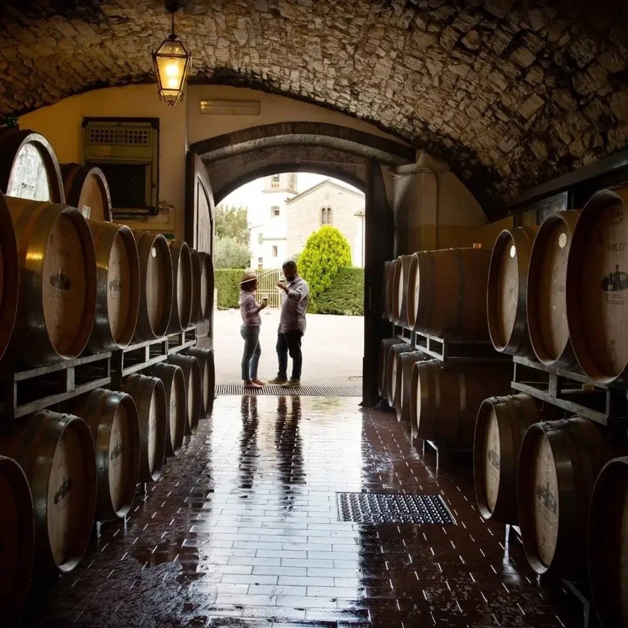 Count Agostino's Wine and Gastronomy Lunch at Castello Vicchiomaggio