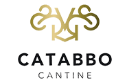 Catabbo winery image 5