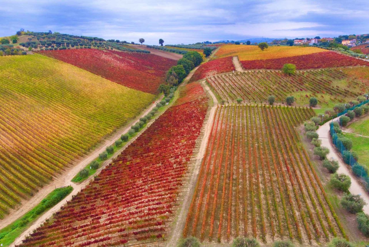 Cellar tour and tasting at Casa Vinicola Mastroberardino