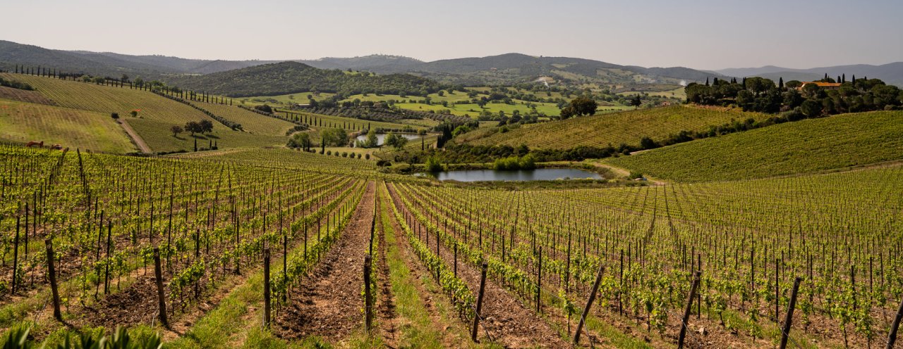 Belguardo winery image 2