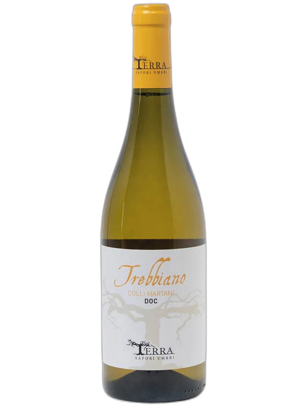 Terra - Sapori Umbri Colli Martani DOC Trebbiano Terra - Sapori Umbri 2025
