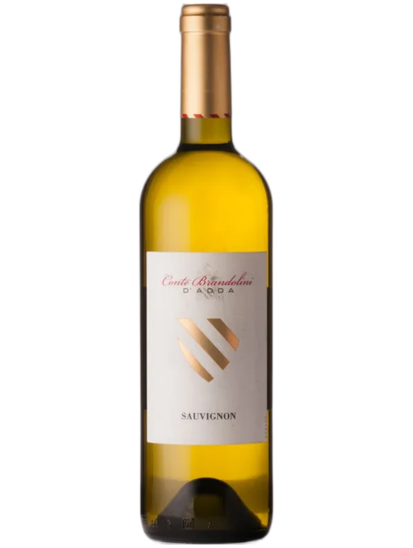 Vistorta Conte Brandolini D'Adda Sauvignon 2024