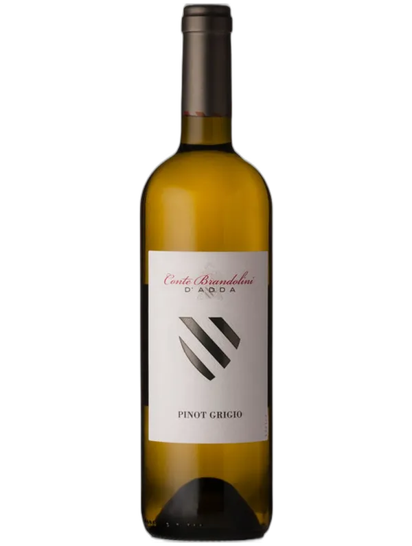 Brandolini Conte Brandolini Pinot Grigio 2024