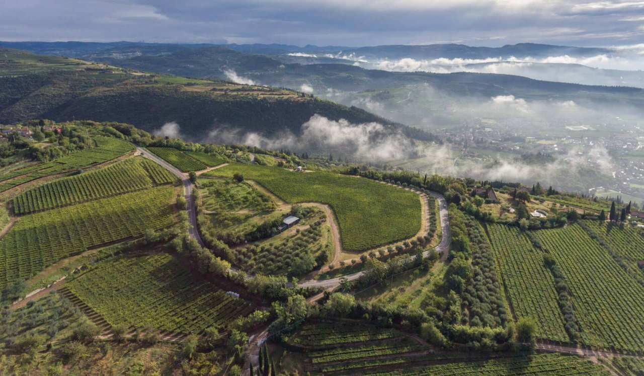 Allegrini winery image 1