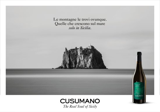 Cusumano winery image 5