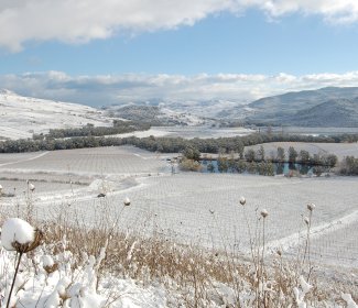Cusumano winery image 3