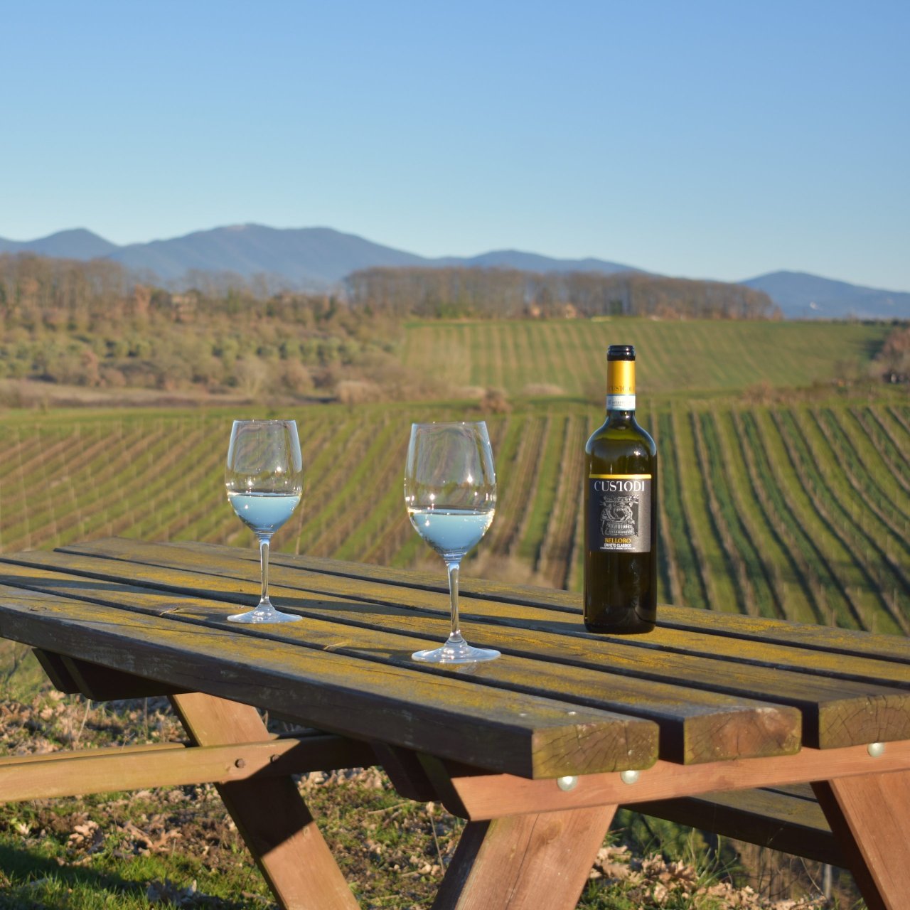 Two wine glasses and a bottle of Custodi wine on a picnic table among the vines, with hills behind