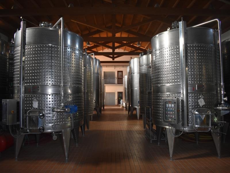 Cellar and vineyard visit with a tasting at Azienda Agricola Custodi