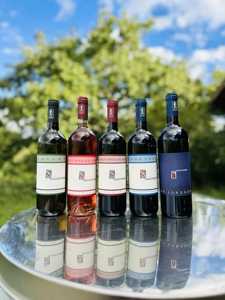 Colors of Sassotondo: Wine Tasting at Sassotondo Organic Winery in Maremma at Sassotondo