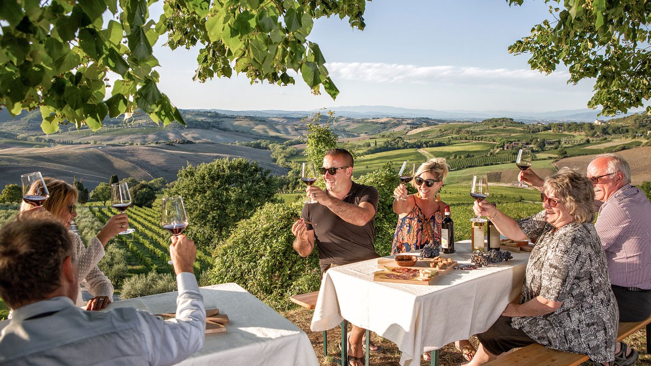 Vineyard and cellar tour with tasting at Azienda Agricola Canneto