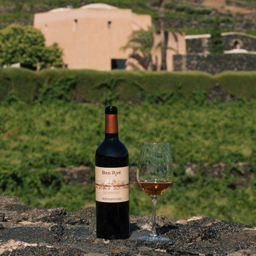 Volcanic Wines, Pantelleria at Donnafugata