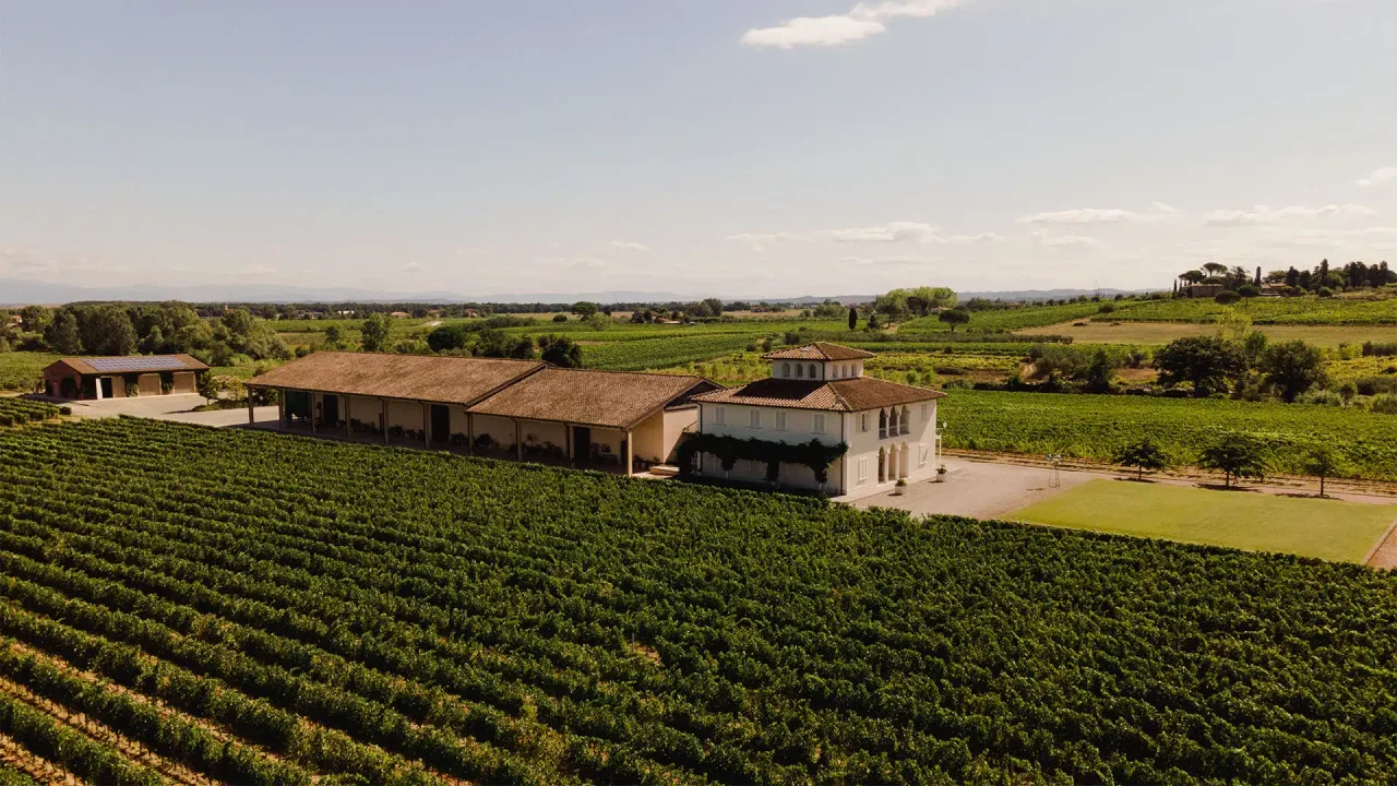 Castellani winery image 4