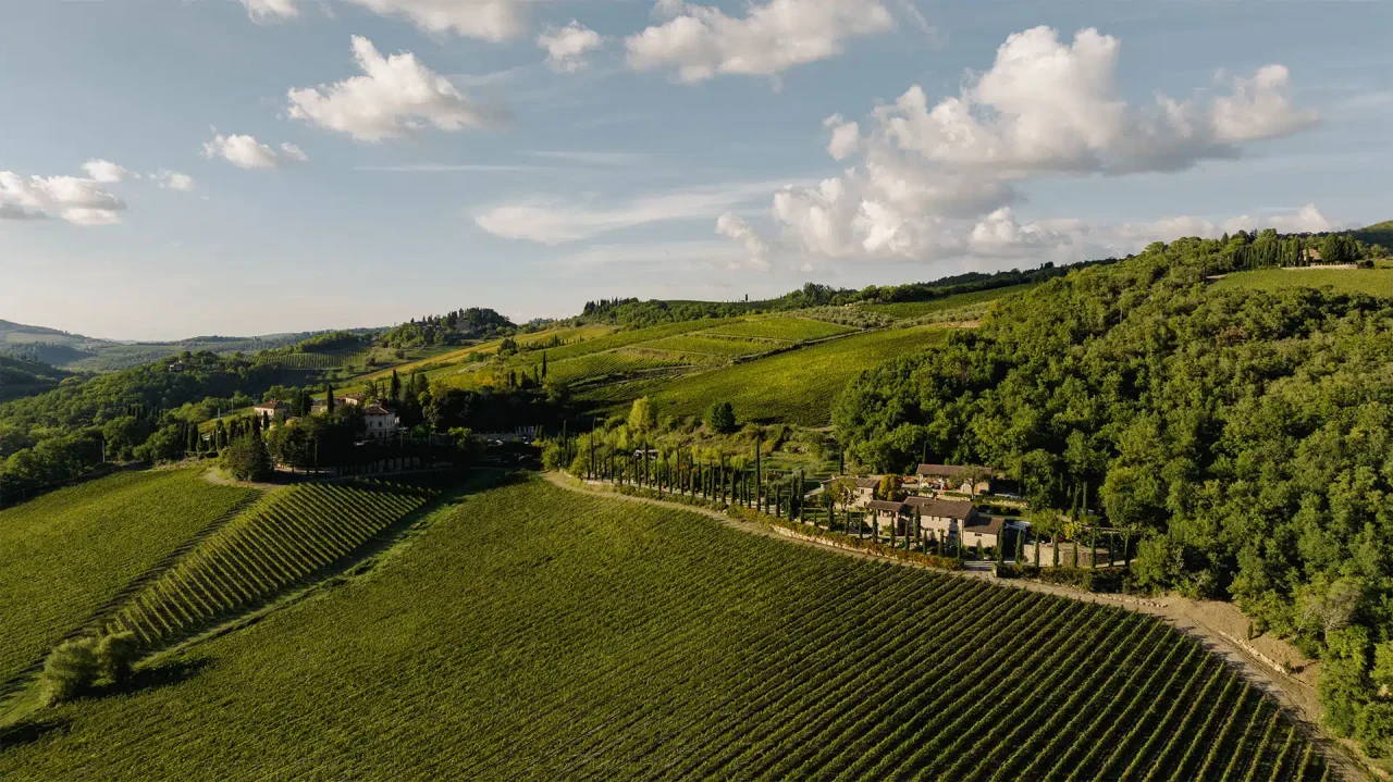 Castellani winery image 3