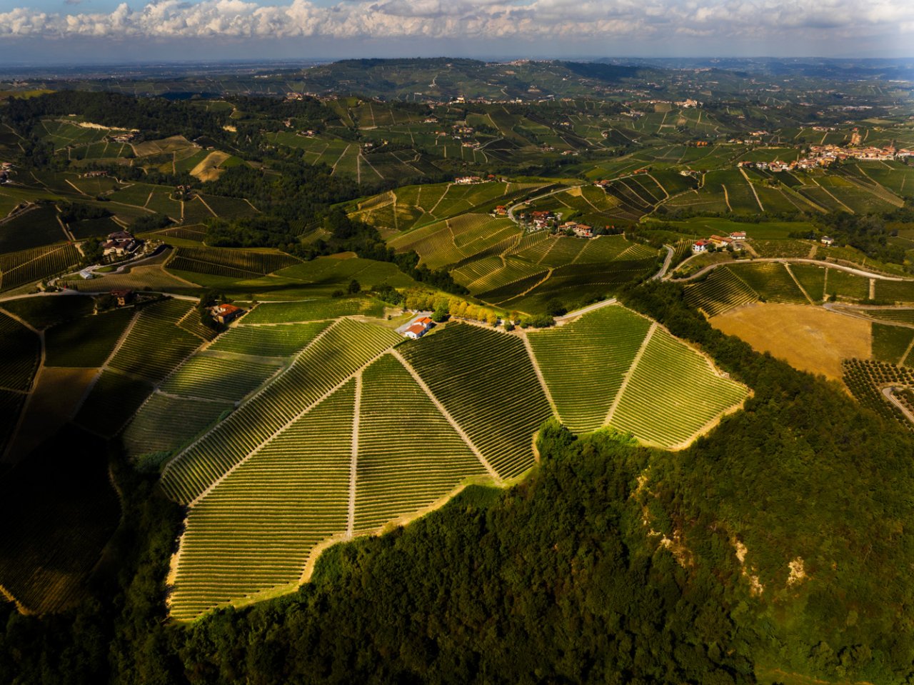 Aerial view of Bersano's Cascina Badarina vineyards on the hills of Serralunga d'Alba