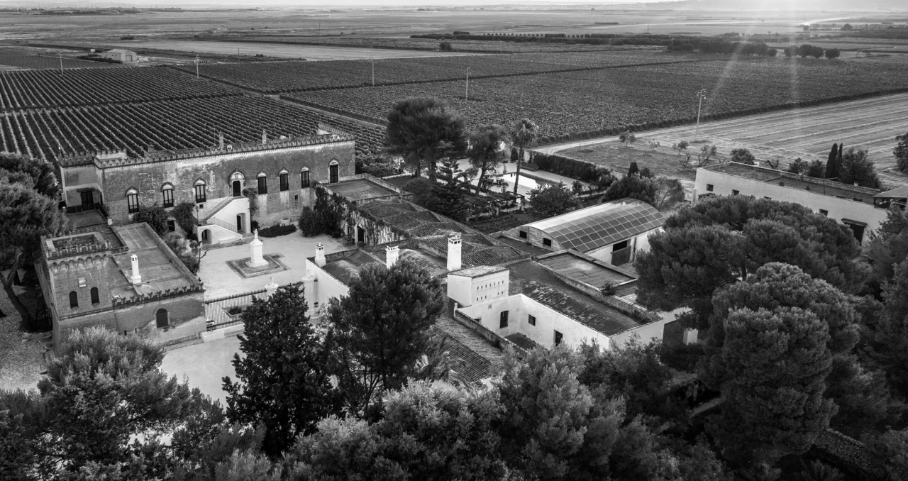 Varvaglione 1921 winery image 1