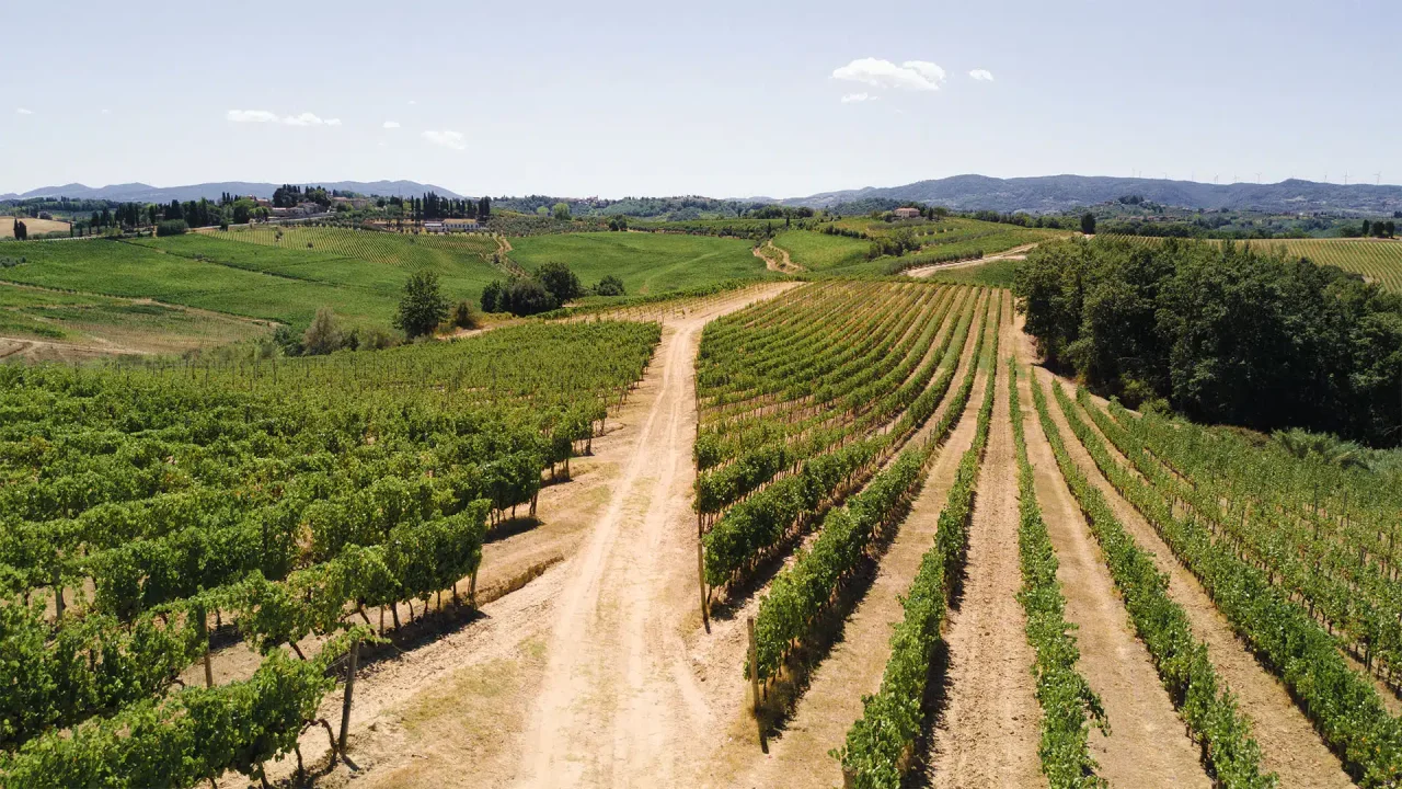 Castellani winery image 5
