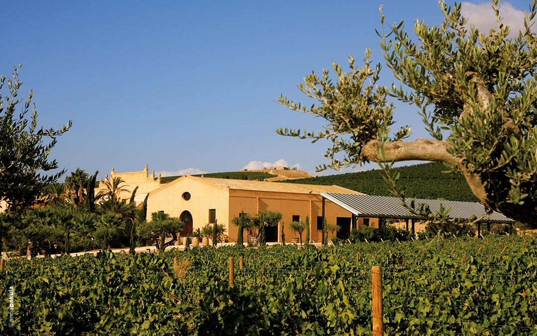 Donnafugata winery image 4