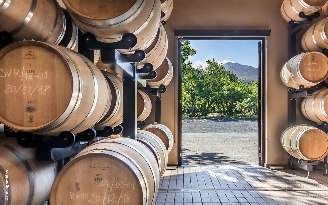 Donnafugata winery image 3