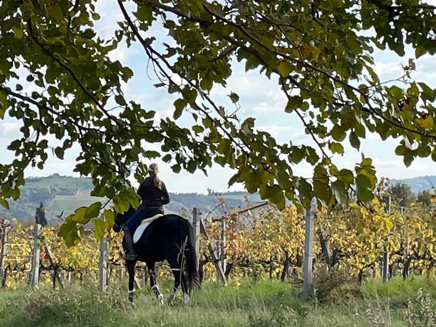 Drei Don&agrave; &ndash; Tenuta La Palazza winery image 5