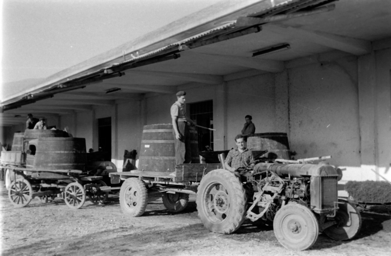 An old black-and-white photograph from the Cantina Produttori di Valdobbiadene archive: a tractor pulling a cart of barrels beside a building