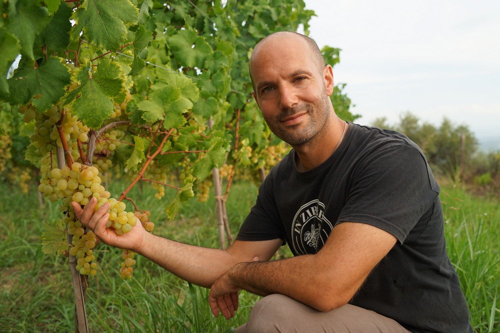 Cantine Benvenuto winery image 3