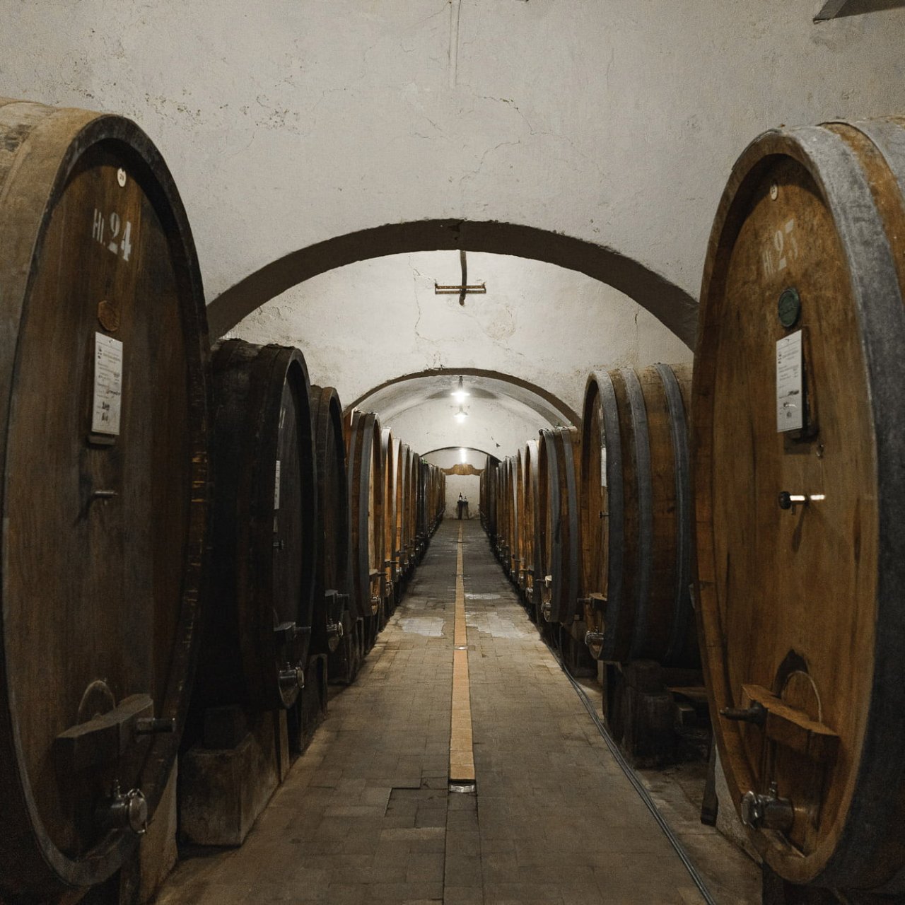 Large wooden casks lining a vaulted corridor in the historic cellar at Tenuta di Capezzana