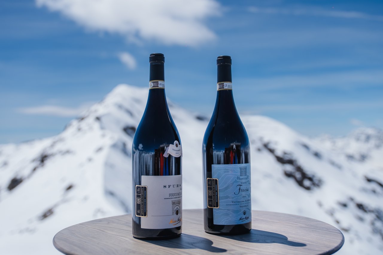 Nino Negri winery image 3