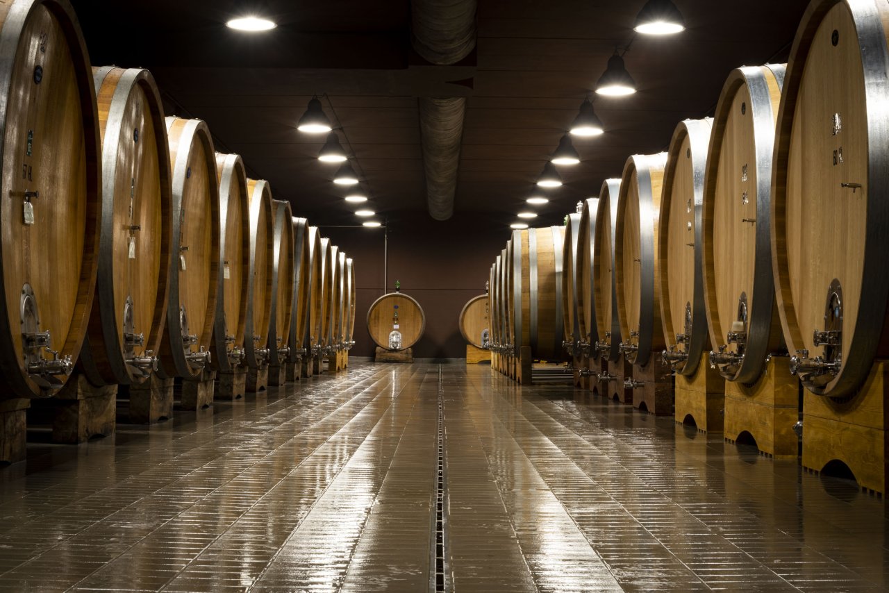 Castello di Camigliano winery image 3