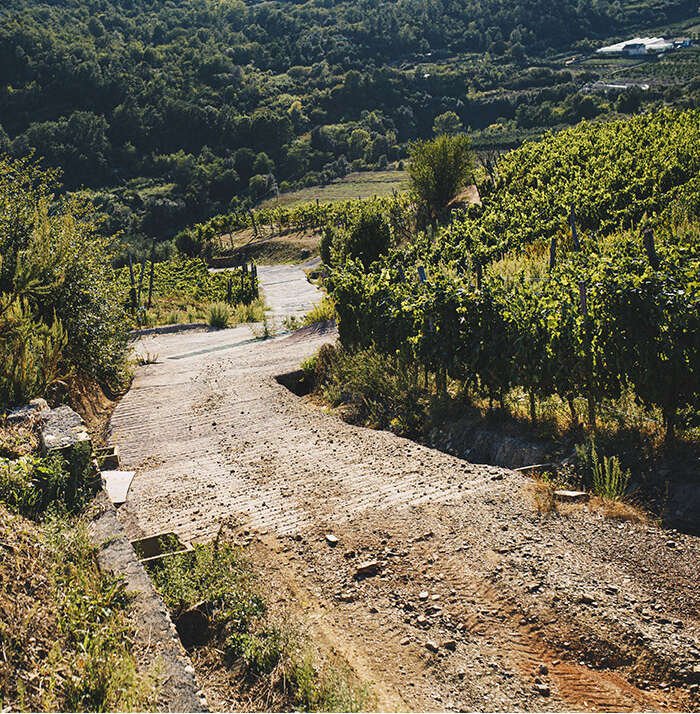 Azienda Agricola Durin winery image 4