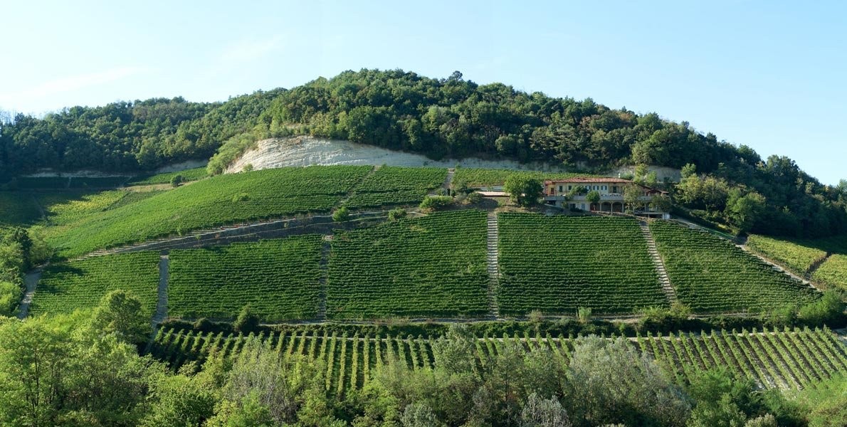 Elio Grasso winery image 1