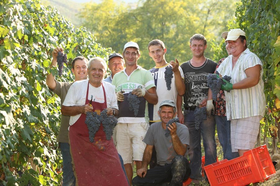 Elio Grasso winery image 3