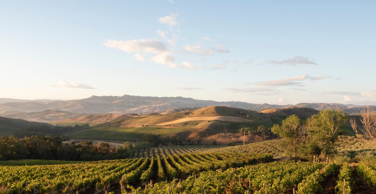 A Tenuta, a Family (Tenuta Regaleali) at Tasca d'Almerita