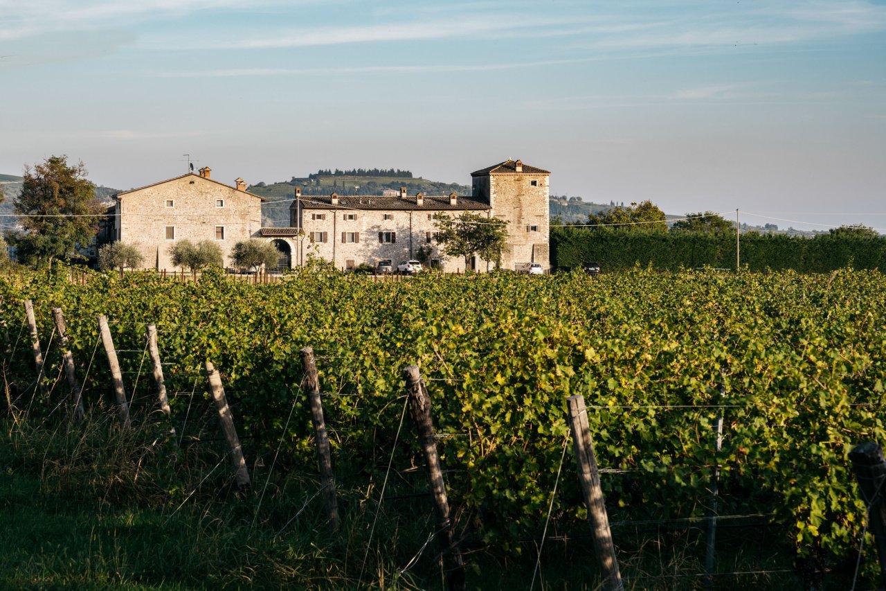 The stone farmhouse and tower of Le Fraghe seen across the vineyard at Cavaion Veronese