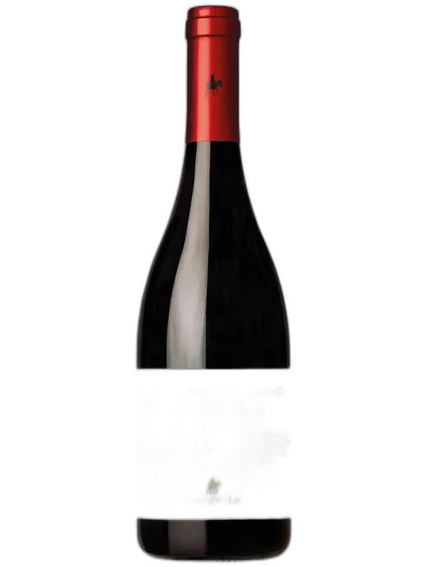 Etna Rosso DOC Lenza di Munti 720m s.l.m. Tenute Nicosia
