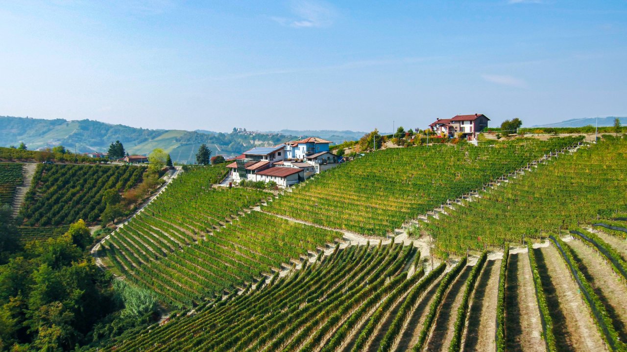 Ettore Germano winery image 1