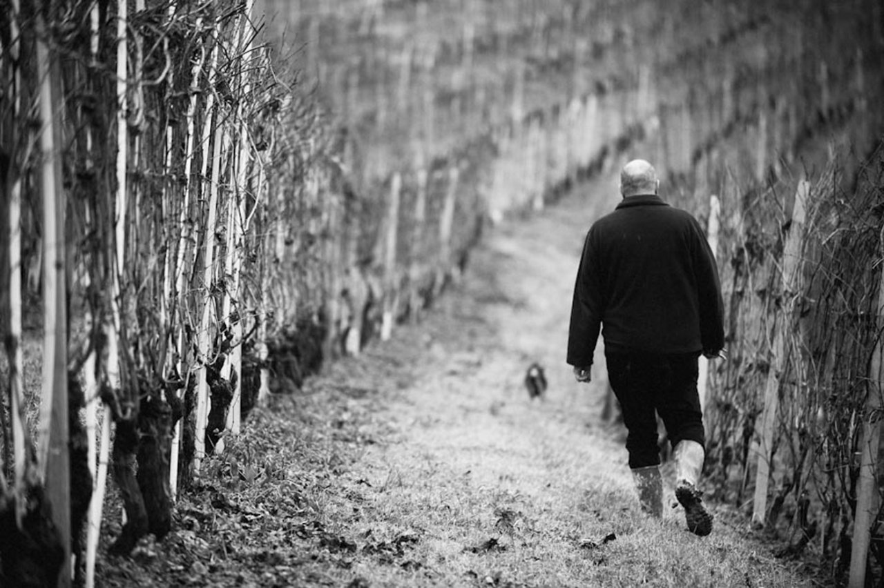 Ettore Germano winery image 4