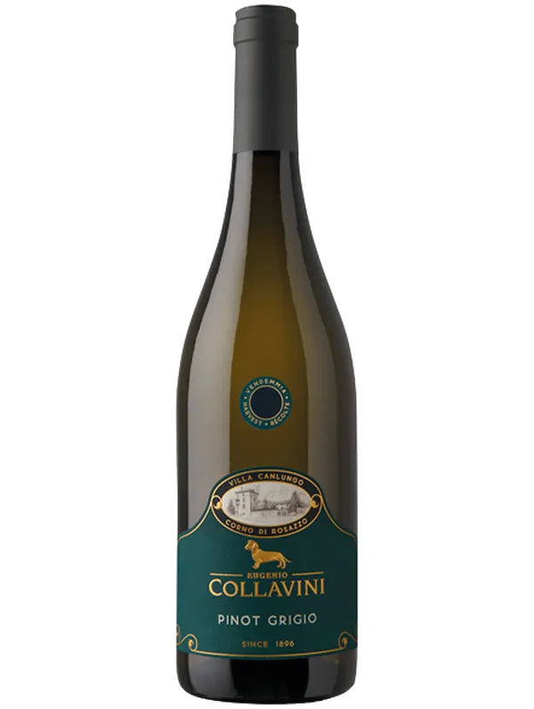 Collavini Eugenio Collavini Viticoltori Pinot Grigio 2024