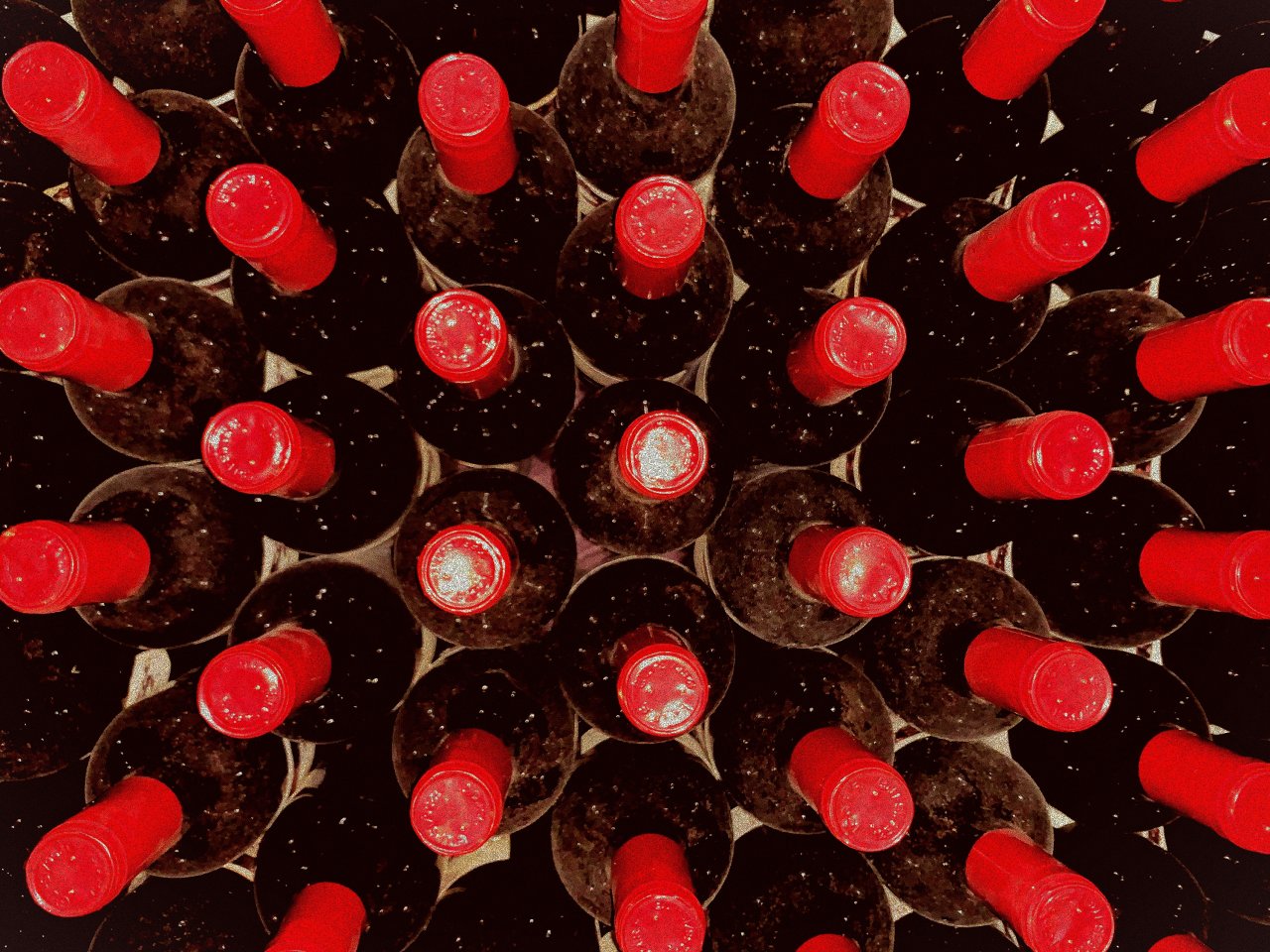 Campi Valerio winery image 3