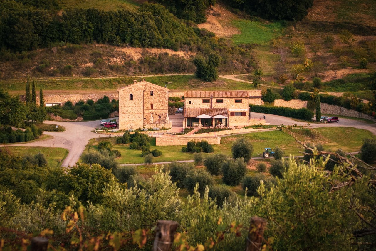 Tenuta Fanti winery image 2