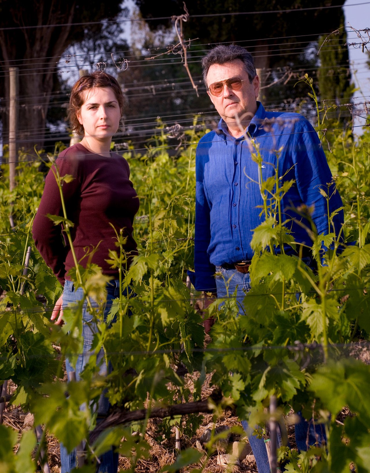 Tenuta Fanti winery image 4