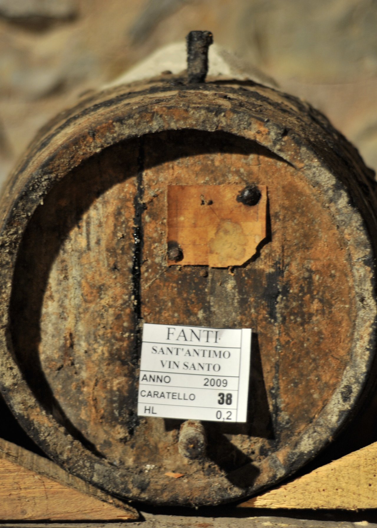 Winery tour and traditional tasting at Tenuta Fanti
