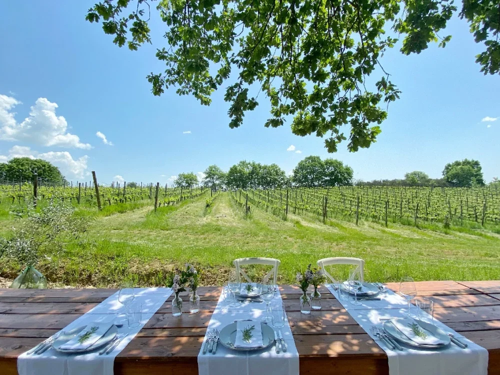 Simple Wine Tasting & Lunch at Fattoria di Romignano in Chianti at Fattoria Di Romignano