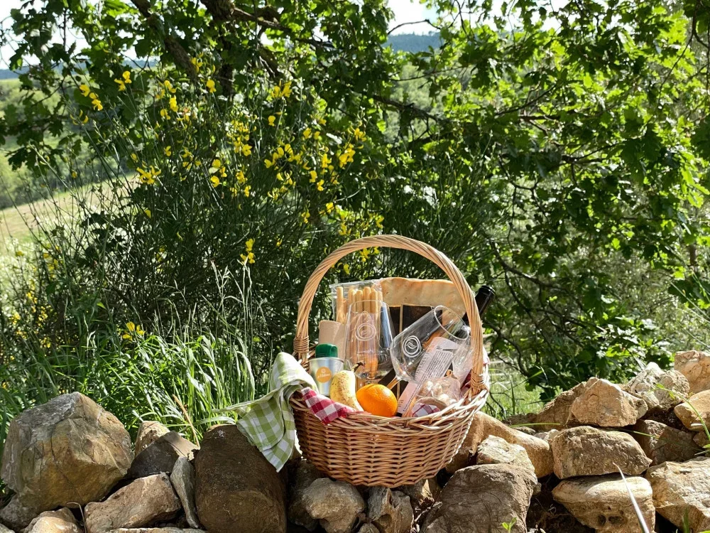 Lunch Picnic Among the Hills of the Tuscan Maremma at Fattoria la Maliosa at Fattoria La Maliosa