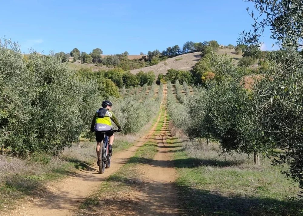 E-Bike Tour with Picnic and Natural Wine Tasting at La Maliosa in Maremma at Fattoria La Maliosa