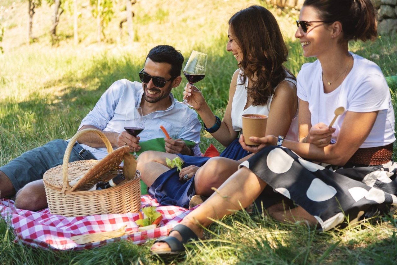Picnic in the Vineyard at Lamole di Lamole